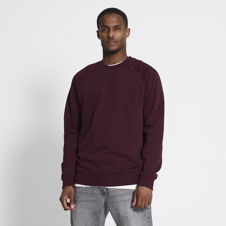 Collegepusero "Premium Sweater"